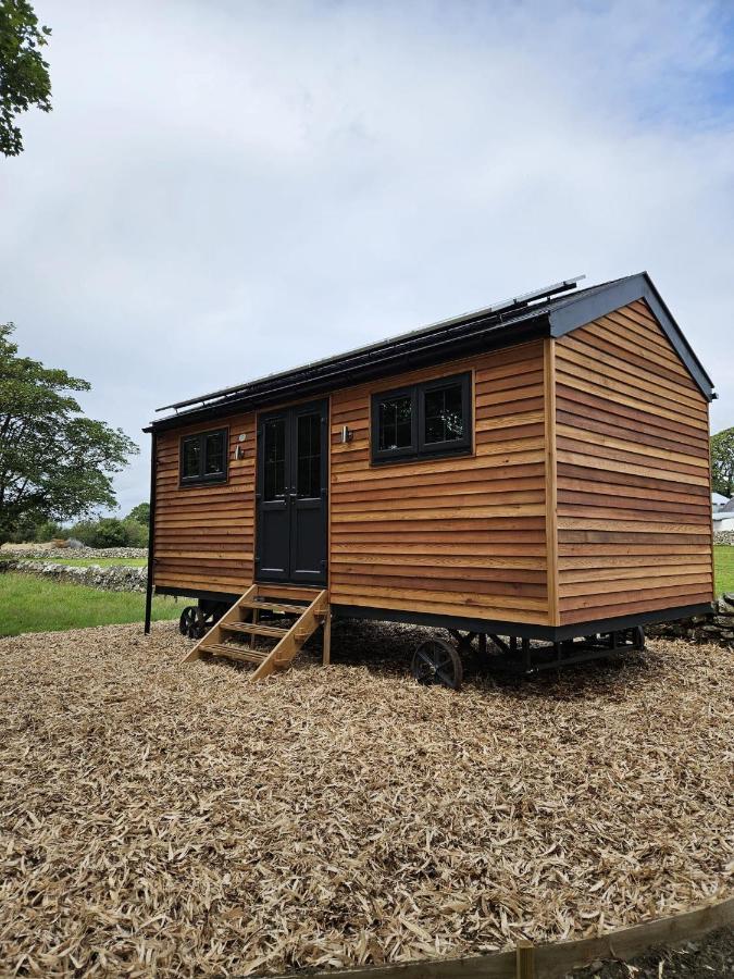 Lodge Woodland Shepherds Hut - 'saga' Caernarfon