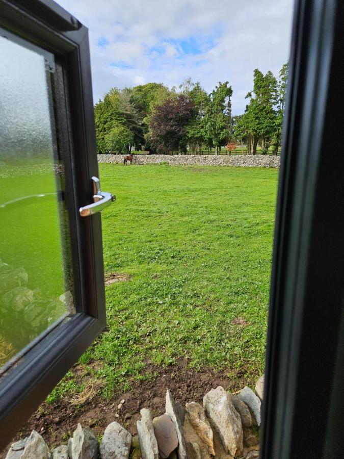 Woodland Shepherds Hut - 'saga' Lodge