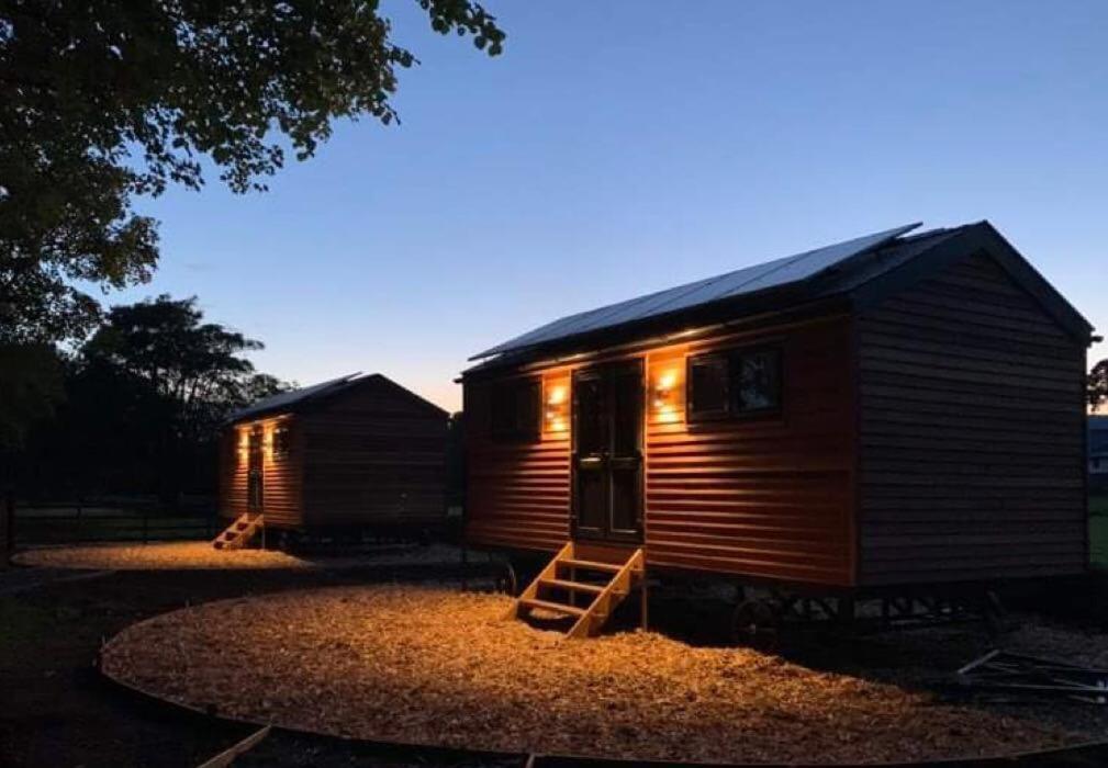 Woodland Shepherds Hut - 'saga' Lodge